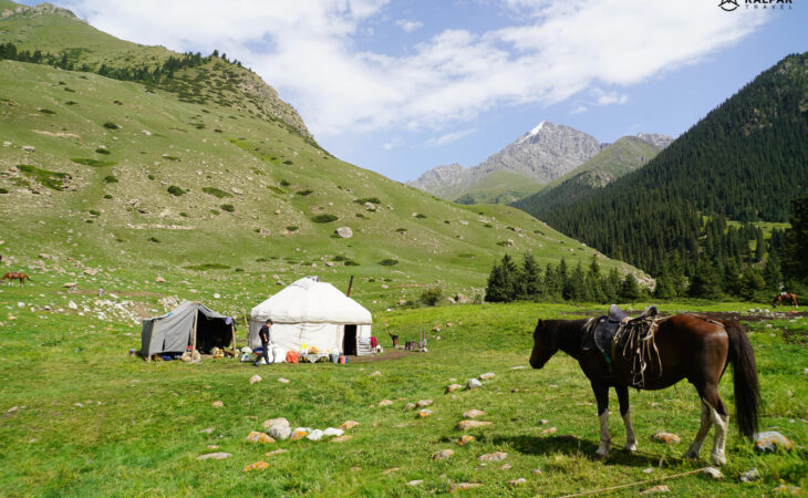 horse and yurt in nature