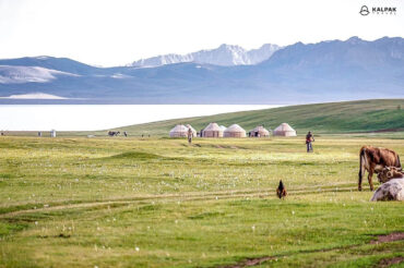 yurts at the Song kul lake in Kyrgyzstan