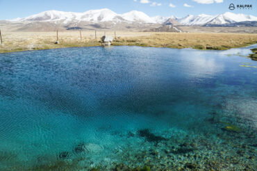 Blue lake with fish on Pamir Highway