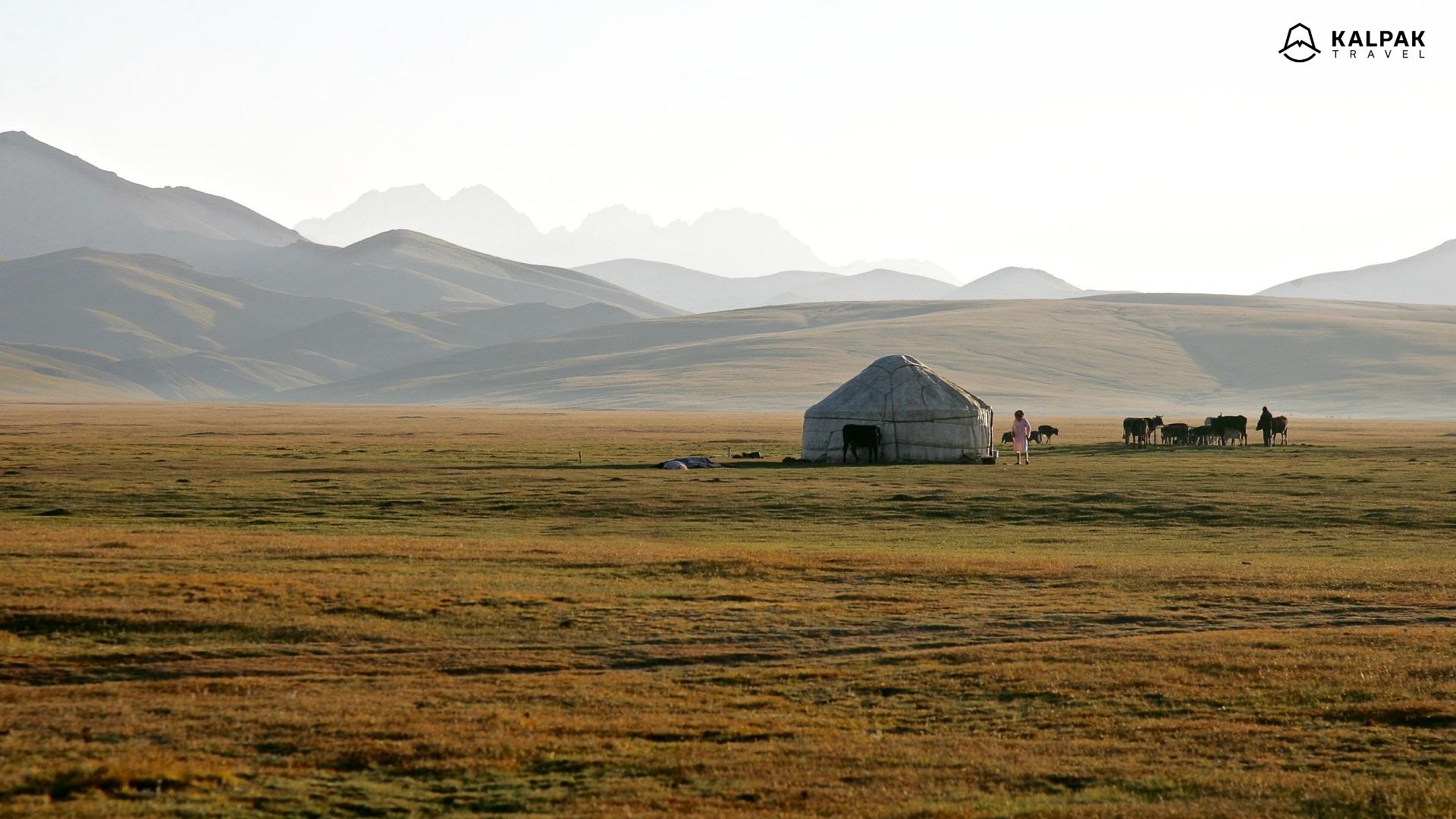 Song Kul pasture with yurts in Kyrgyzstan in Central Asia